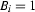 B_i=1