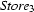 {\it Store}_3